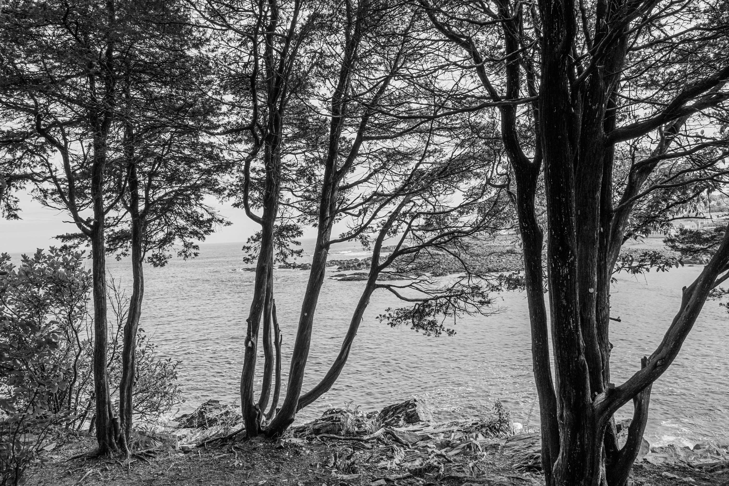 3rd PrizeOpen Mono In Class 1 By Mark Sandler For Cloudy Day On Marginal Way OCT-2024.jpg